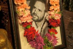 532207_422271154536515_455494533_n